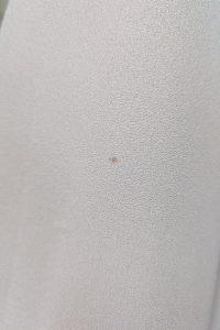Zbliżenie na jasną tkaninę z beżowej sukienki, z niewielką, brązowawą plamką w pobliżu środka.